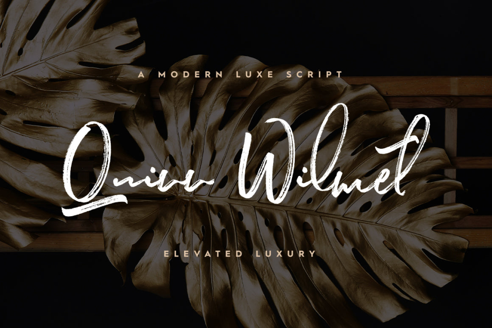 Quinn Wilmet - Hand Drawn Brush Font + Alts