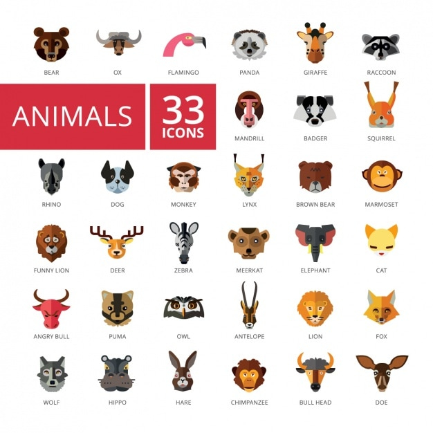 Animal icons collection