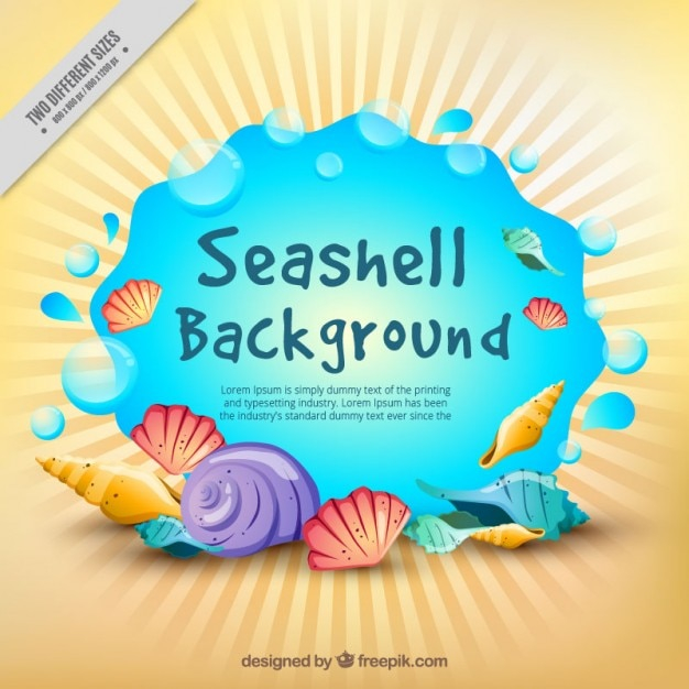 Background of colored seashell