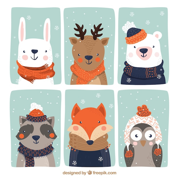 Collection of six beautiful animals with winter clothes