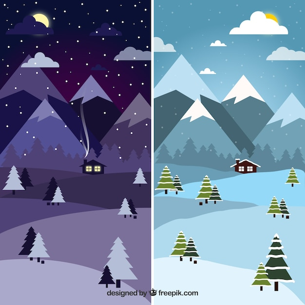 Day and night at winter forest