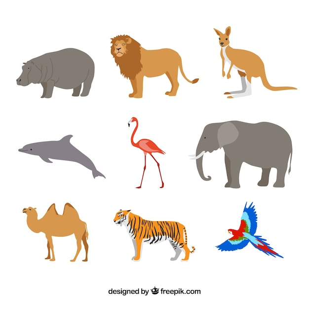 Flat set of wild animals