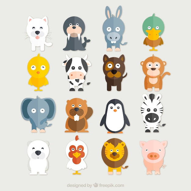 Funny animals collection