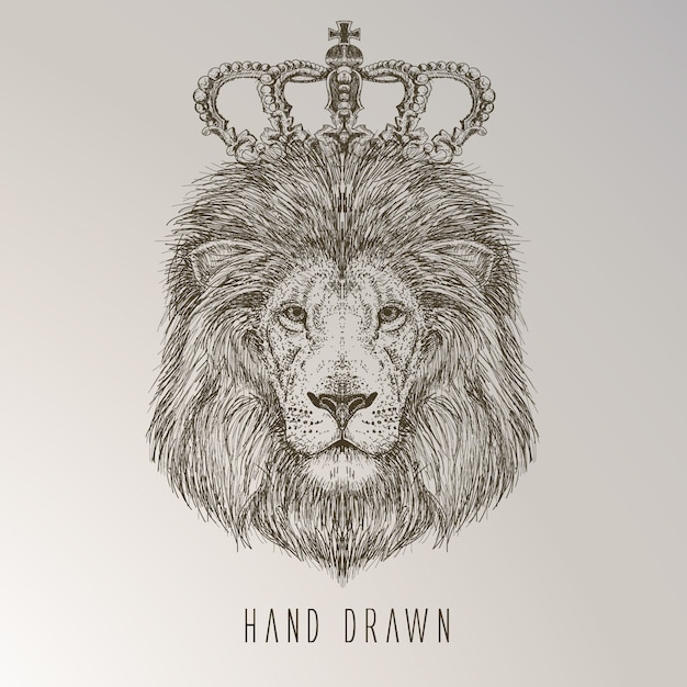 Hand drawn lion king