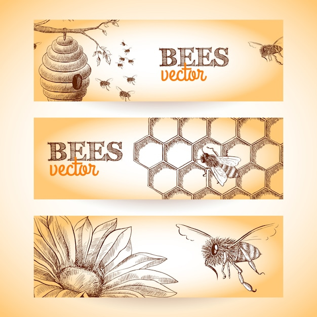 Honey bee hive comb and flower sketch banners set isolated vector illustration.