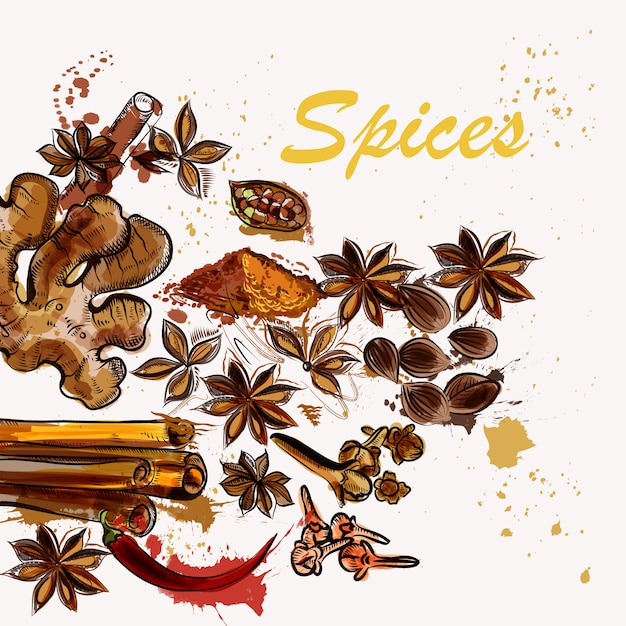 Spices background design