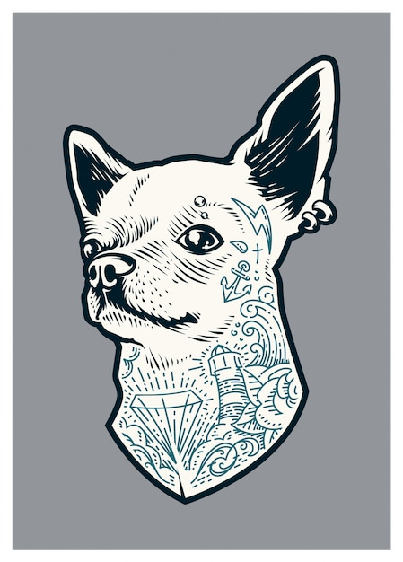 Tattooed Chihuahua