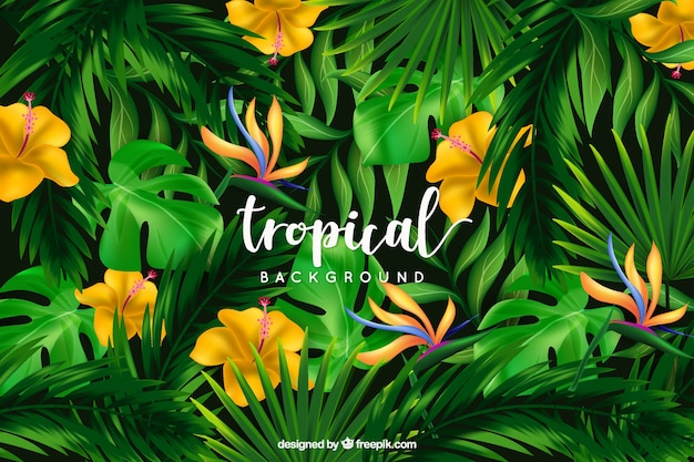 Tropical background with wild flowers