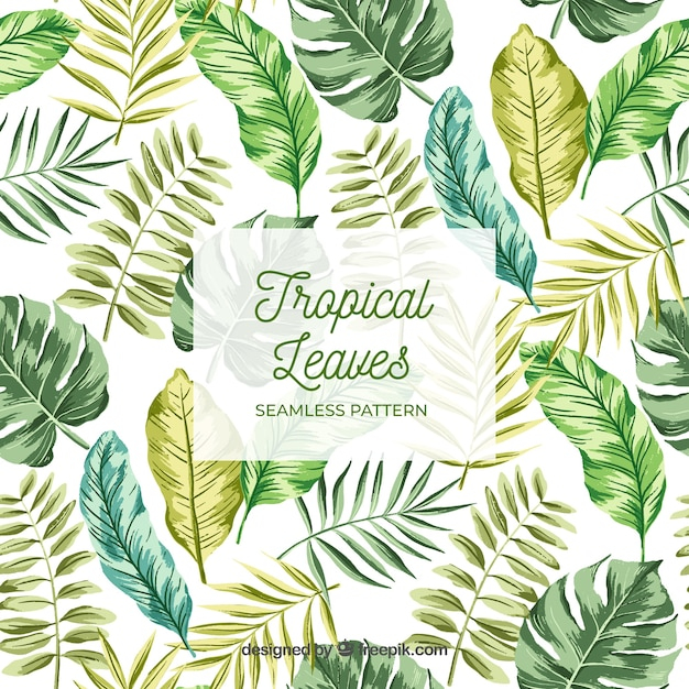 Tropical leaves pattern 