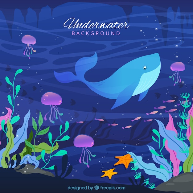 Underwater background with caricatures of aquatic animals
