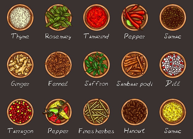 Vector illustration of a variety of spices and herbs in wooden bowls on a black background