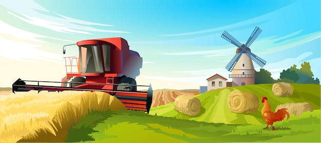 Vector illustration rural summer landscape