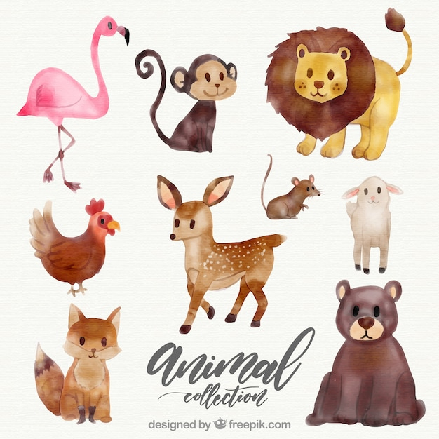 Watercolor collection of wild animals