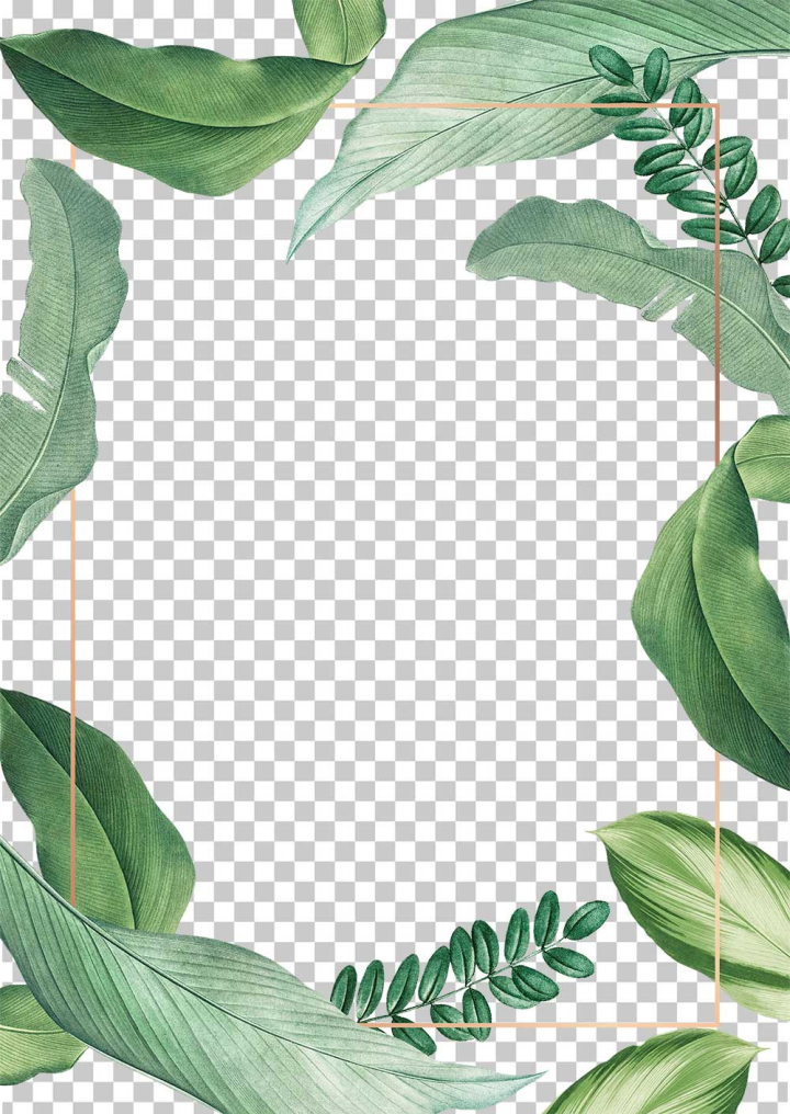 frame,png,background,foliage,poster,banana leaf,advertising,board,botanical,brochure,card,creative,decorative,design,dracaena recina,drawing,flyer,framed,gold,golden,green,green leaf,greenery,greeting card,hand drawn,handout,illustrated,illustration,indigo bush,invitation,isolated on white,jungle,leaflet,leaves,lush,natural,nature,paper,parrot heliconia,pattern,plant,print,print material,printed,spring,tropical,tropics,various,white,white background,comrawpixel,594540,rawpixel 594540