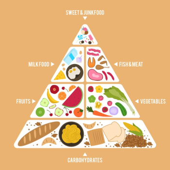 Food pyramid template Free Vector