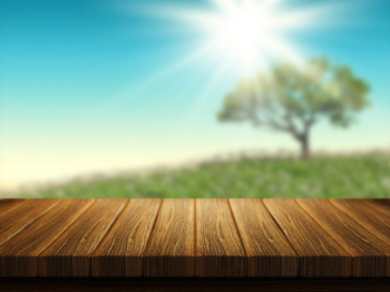 Wooden table with tree landscape in background Free Photo