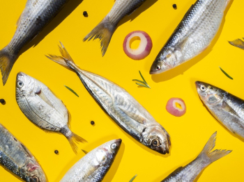 Couple of fresh fishes with yellow background Free Photo