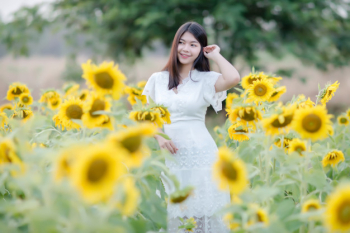Beautiful sexy woman in a white dress walking on a field of sunflowers Free Photo