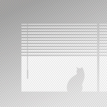 Transparent shadows overlay effect with cat Free Vector