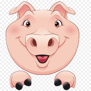 Pig, Domestic Pig, Porky Pig, Nose, Cartoon PNG