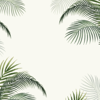 Palm leaves mockup illustration