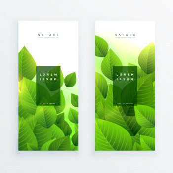 Abstract green leaves vertical banners