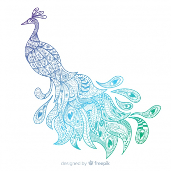 Lovely peacock in hand drawn style
