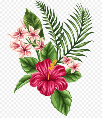 Flower Tropics Drawing Clip art - tropical 
