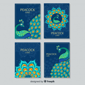 Elegant peacock card collection