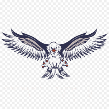 Bald Eagle White-tailed Eagle Clip art - gunfare 