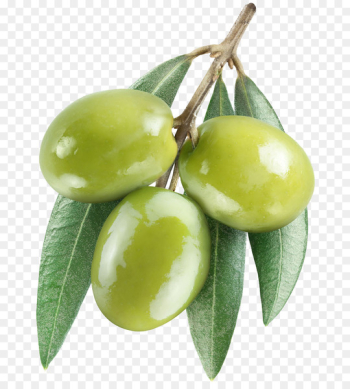 Olive leaf Olive oil - Olive fruit 