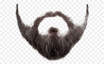 Beard Clip art - beard and moustache 