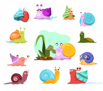 Multi-colored snails set