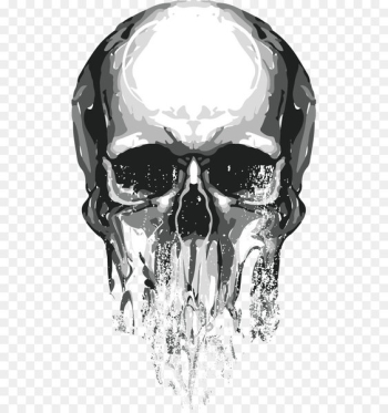 Skull Euclidean vector - Skull 