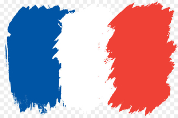 Ipackchem Group SAS French orthography Flag of France - france 