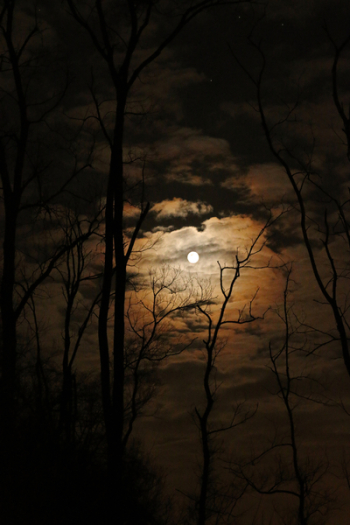 Full Moon, Dark, Spooky, Sky, Clouds, Moon, Night, Full