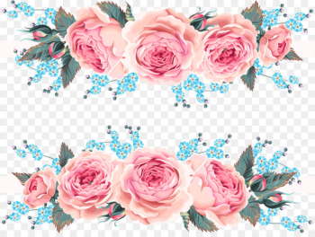 Garden roses Beach rose Flower Pink - Beautiful roses invitation design vector material 