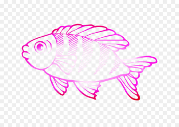 Saltwater fish Coloring book Deep sea creature Ocean -  