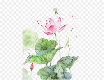 Watercolor painting Watercolour Flowers Art Chinese painting - Pink lotus 