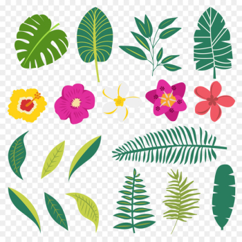 Plants Image Leaf Design Portable Network Graphics - bunga 