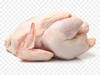 Broiler Cornish chicken Chicken as food Meat Poultry - meat 