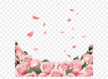 Rose Flower Wedding invitation Pink - Pink Rose 