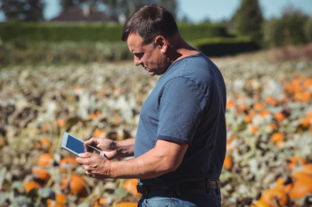 Farmer using digital tablet in pumpkin field Free Photo