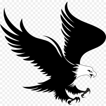 Bald Eagle Logo Clip art - eagle 