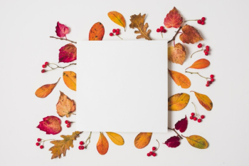Blank copy space with colorful autumn leaves frame Free Photo