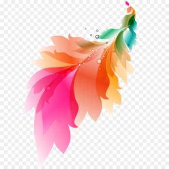 Feather Stock photography Computer - vector color feathers 