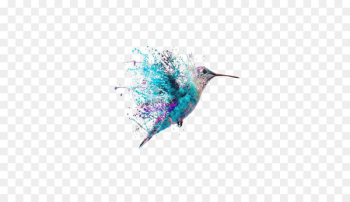 Hummingbird Tattoo Art Painting - Watercolor Hummingbird 