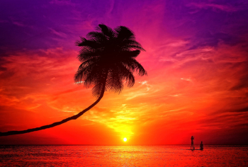  A romantic couple enjoying the sunset in a tropical island 