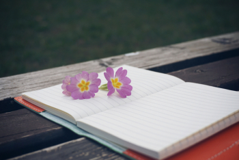 Bench, Flower, Notebook, Pen, Wooden, Notepad