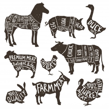 Farm animals silhouette typographics